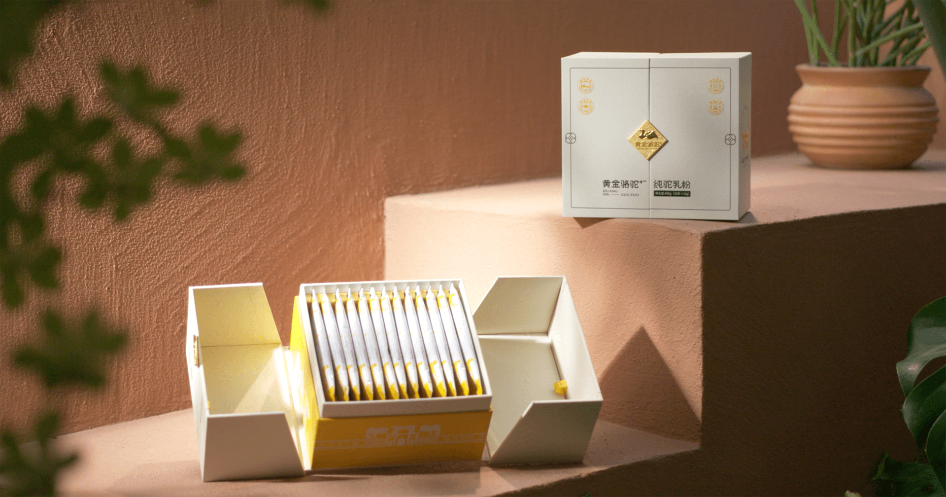 定位小众高端乳粉，尊龙凯时人生就搏推出驼奶品牌“黄金骆驼+”，角逐乳品新市场！